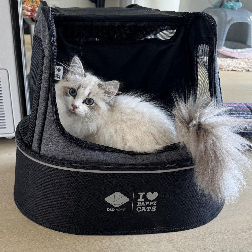 reismand katten transporttas phoebe